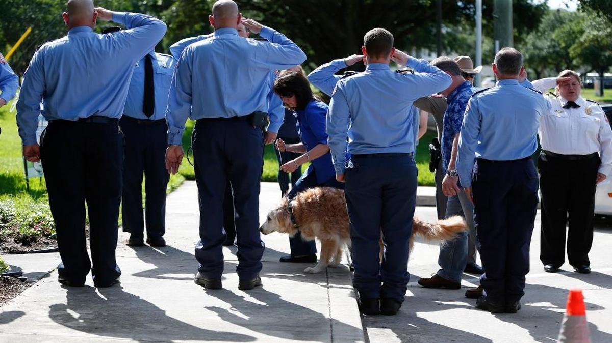 Bretagne the last surviving search and rescue dog from 9/11 is walked by her handler Denise Corliss past a flank of members of the Cy-Fair Volunteer Fire Department, as she was brought into the Fairfield Animal Hospital on Monday in Cypress, Texas to be euthanized.