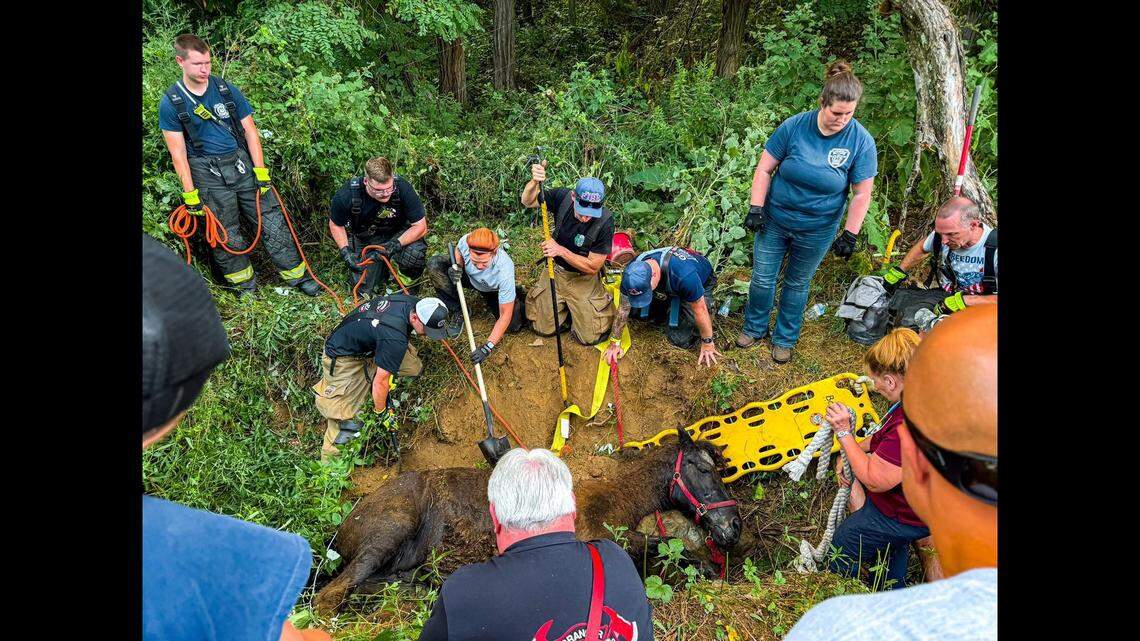 Crews rescue a horse that fell into a ditch in Granger Township, Ohio.
