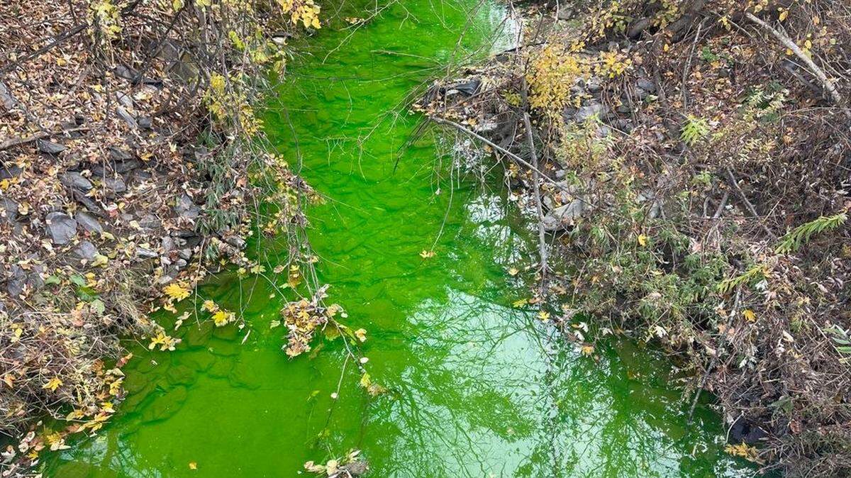 Officials in Pennsylvania have released photos after a creek suddenly turned bright green. 