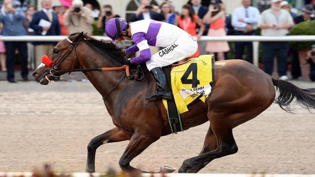 This year’s Derby favorite is a horse named Nyquist, named after Detroit Red Wings hockey player Gustav Nyquist. But that’s not even in the race for the weirdest horse names of all time.