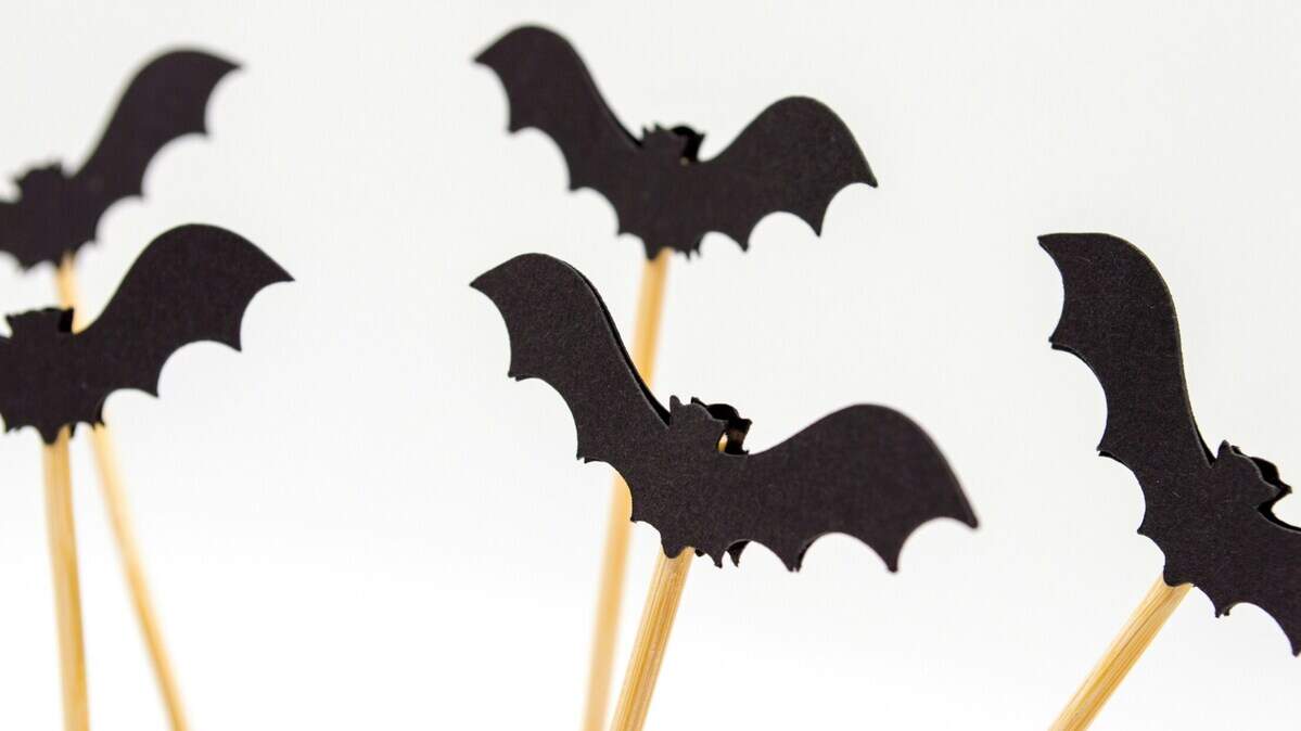 A bat infestation caused a brief closure of a New Hampshire elementary school, officials say.