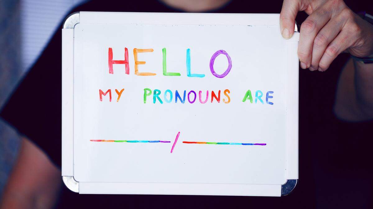 A Michigan school district is canceling an elementary school lesson over pronouns after staff members were harassed, its superintendent said.