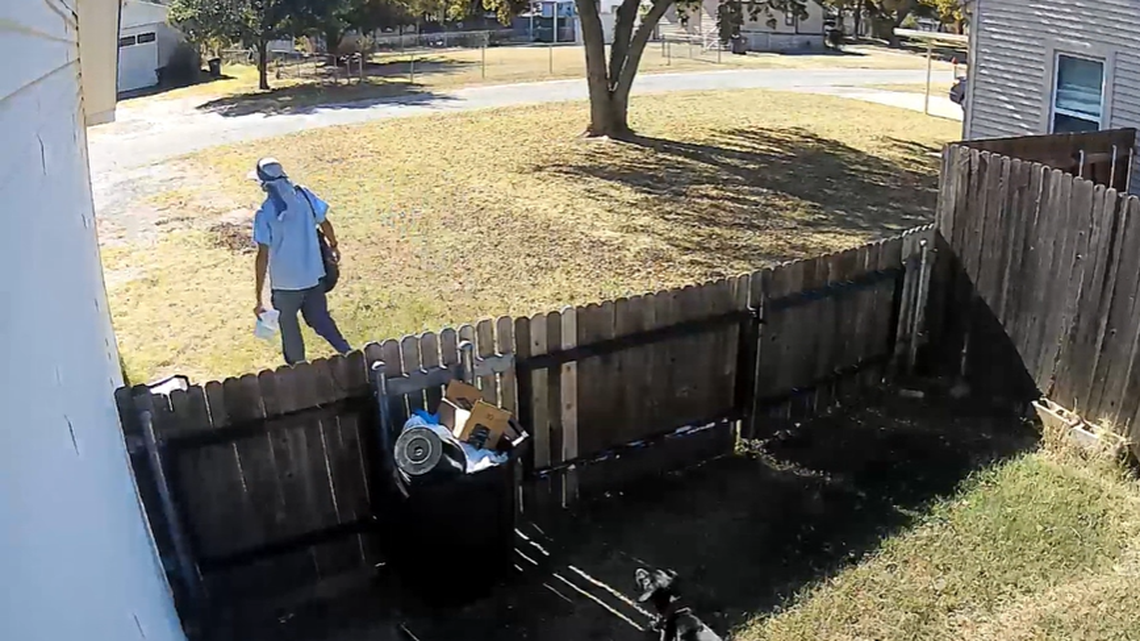 An Oklahoma woman says a postal worker was seen pepper spraying her dogs.