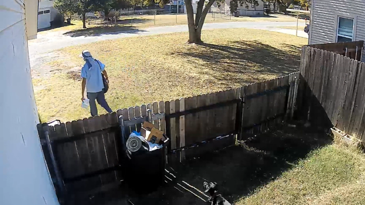 An Oklahoma woman says a postal worker was seen pepper spraying her dogs.