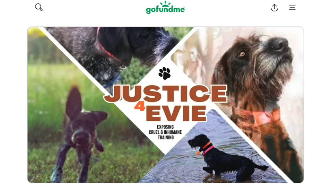 A dog named Evie died under the care of Edward Erickson, a Minnesota dog trainer, cops say.