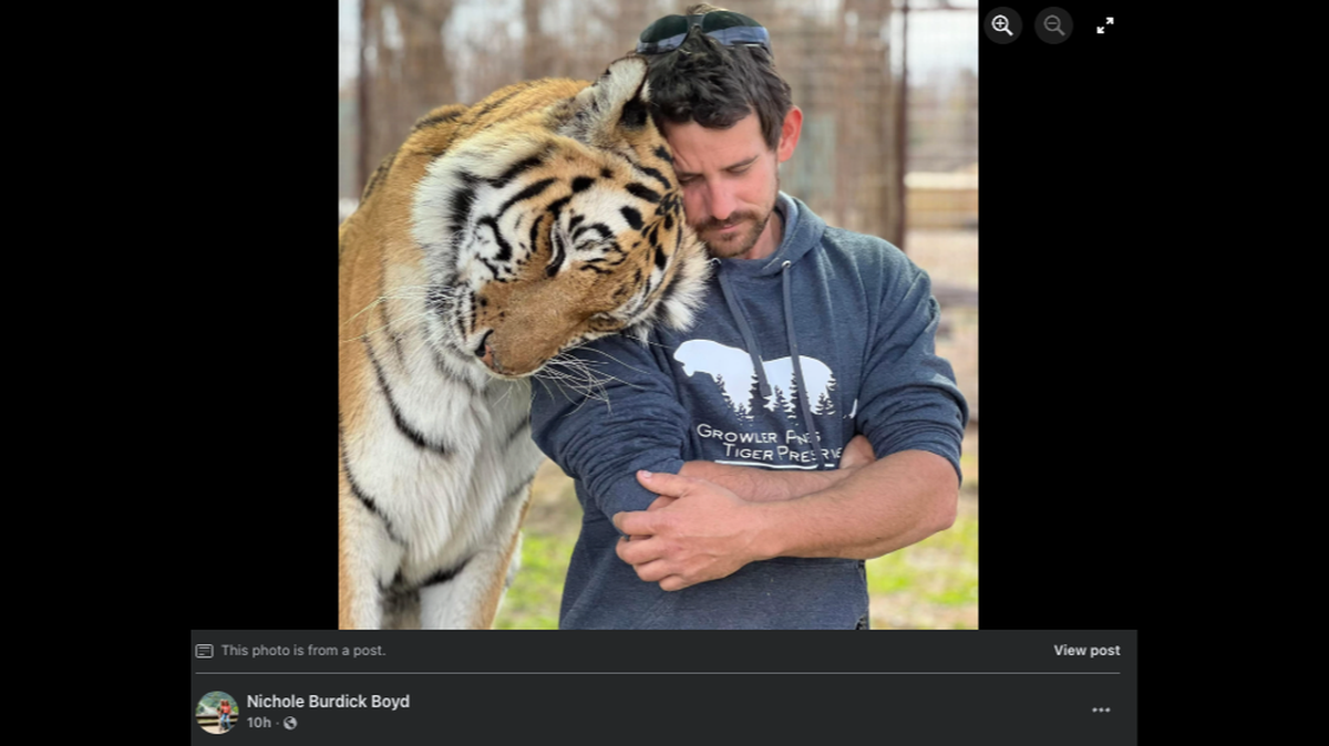 Ryan Easley, the operator of Growler Pines Tiger preserve, died in an accident involving a tiger.