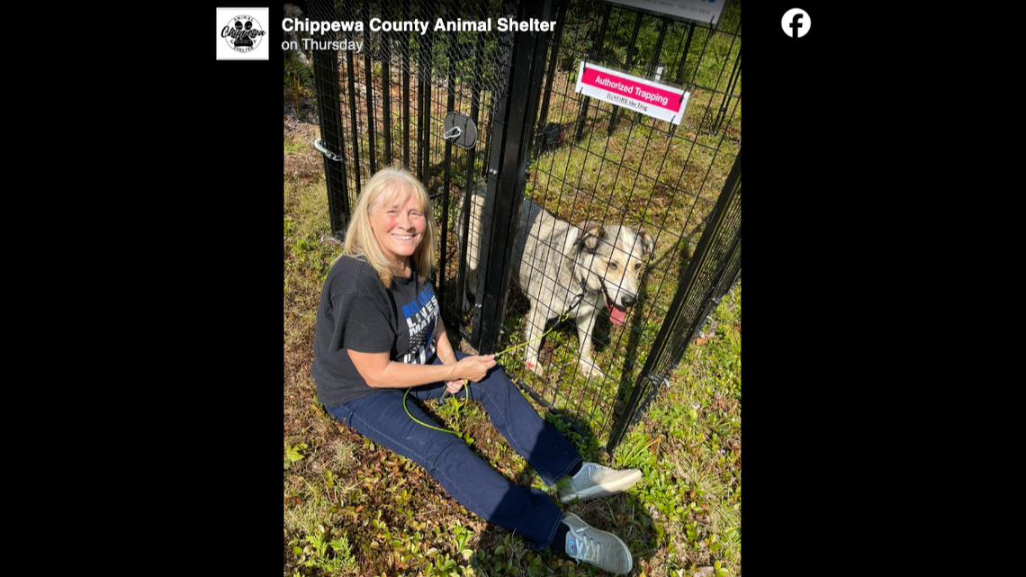 A dog trapper successfully captured a dog that went missing from a Michigan state park in 2023.