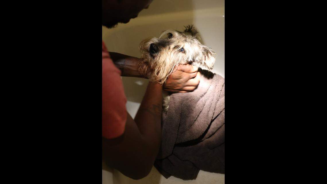 Multiple crews in Indiana were called to help rescue a dog after his paw got stuck in a bathtub drain.