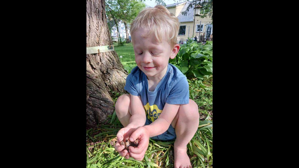Jack Bailey, 4, caught a “rare” blue-eyed cicada in Wheaton, Illinois.