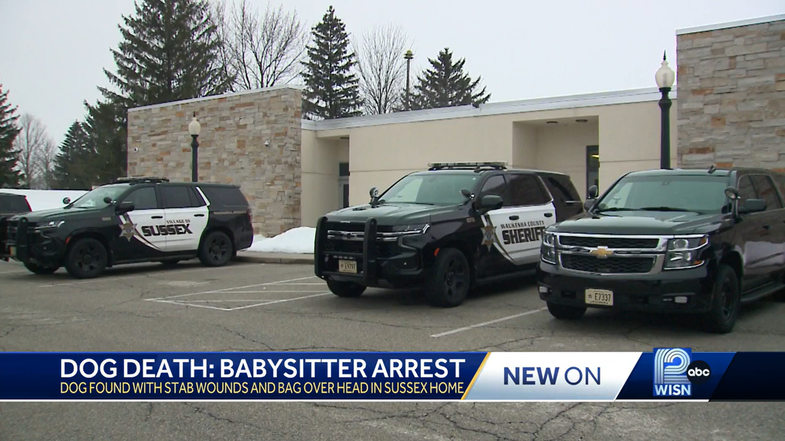 Officials in Wisconsin are investigating the death of a family dog.