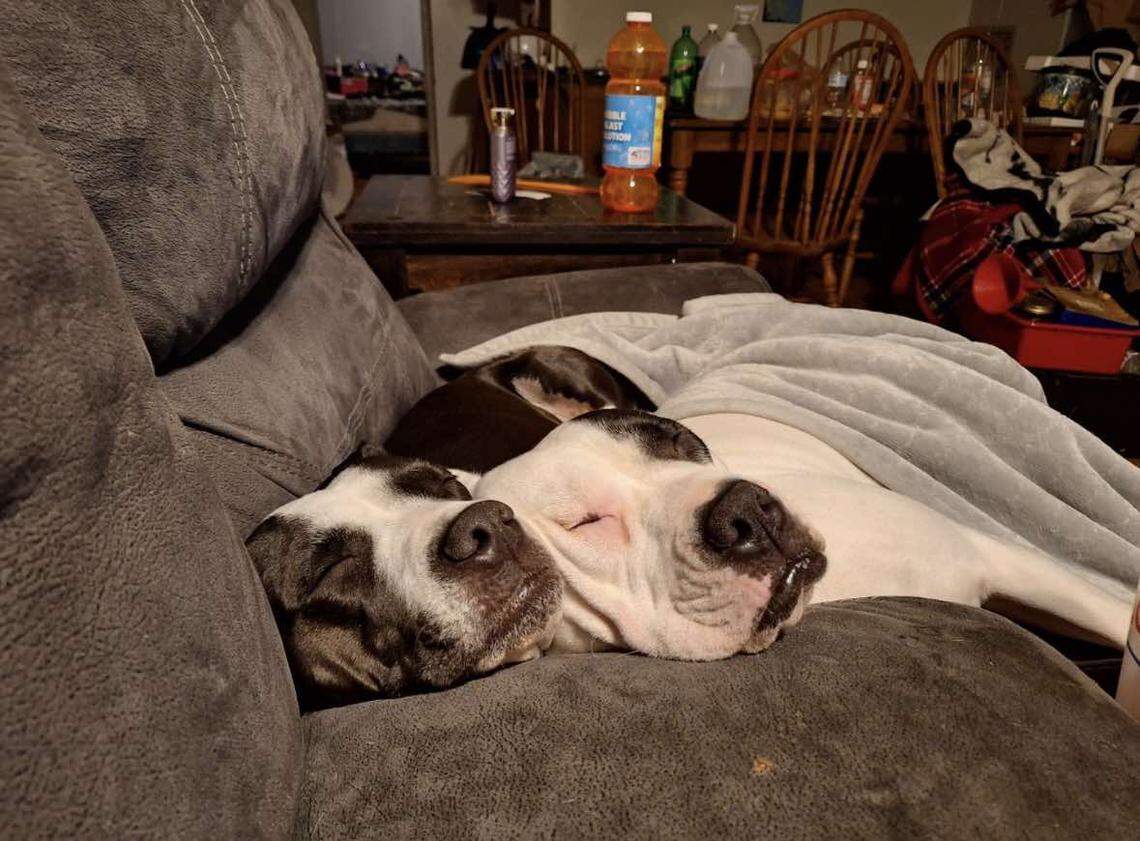 Piper and Blair at home.