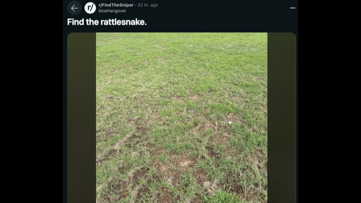 A rattlesnake is hiding in this northwestern Oklahoma photo.