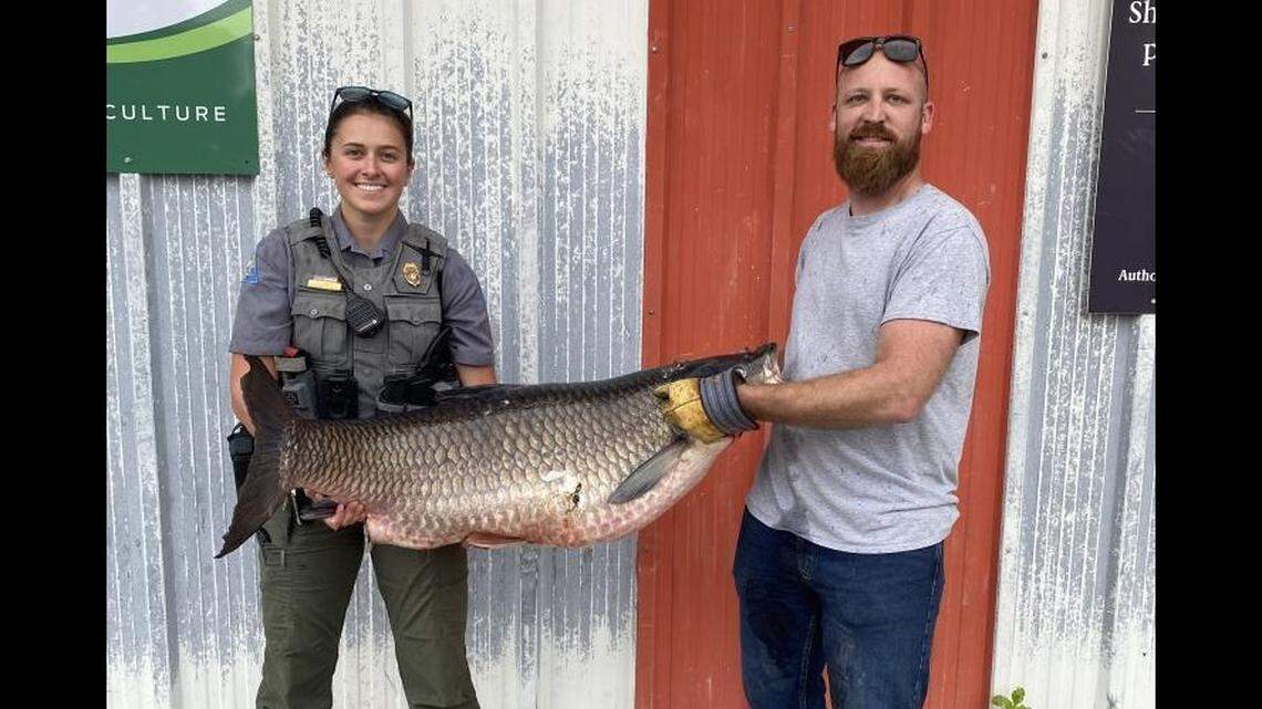Missouri fisherman Frank Reynolds (right) and Osage County Conservation Agent Katie Stonner pose with the record-breaking catch.