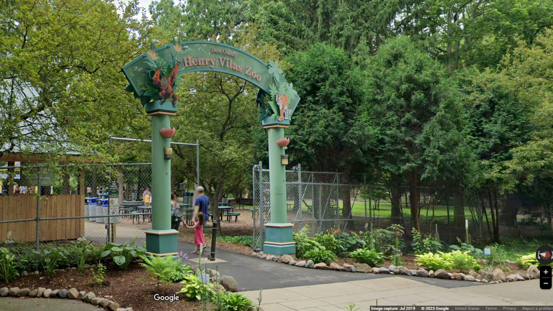 Henry Vilas Zoo announced the birth of a baby Geoffroy’s marmoset.