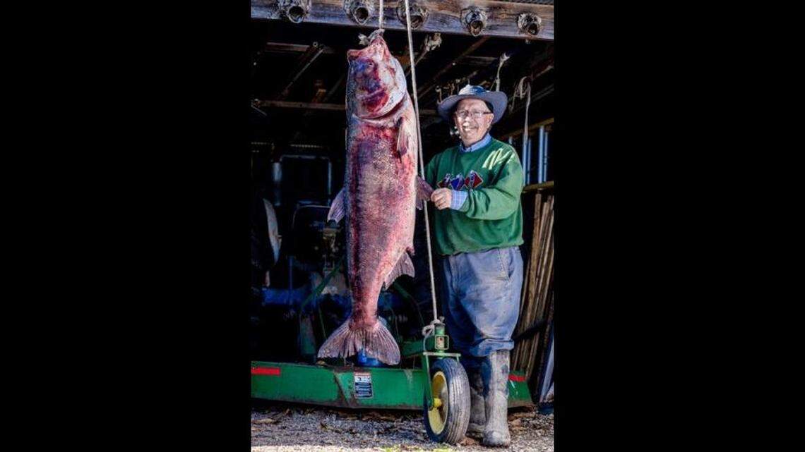 George Chance got a 97-pound bighead carp from the Mississippi River in Missouri, achieving a state record.