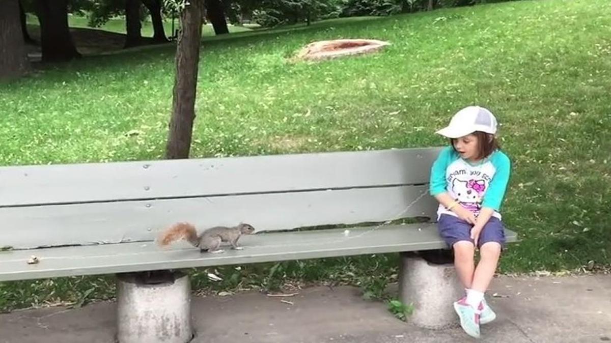 This is the little girl in Montreal whose dad used a live park squirrel to pull a loose tooth out of her mouth. Ick.