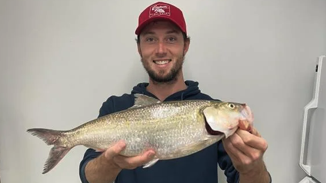 Anthony Rozniak, of St. Peters, set a Missoui record by catching a 3-pound skipjack herring.