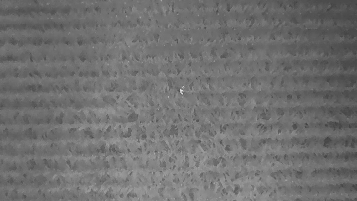 The boy was found half a mile from home, Wisconsin deputies said.