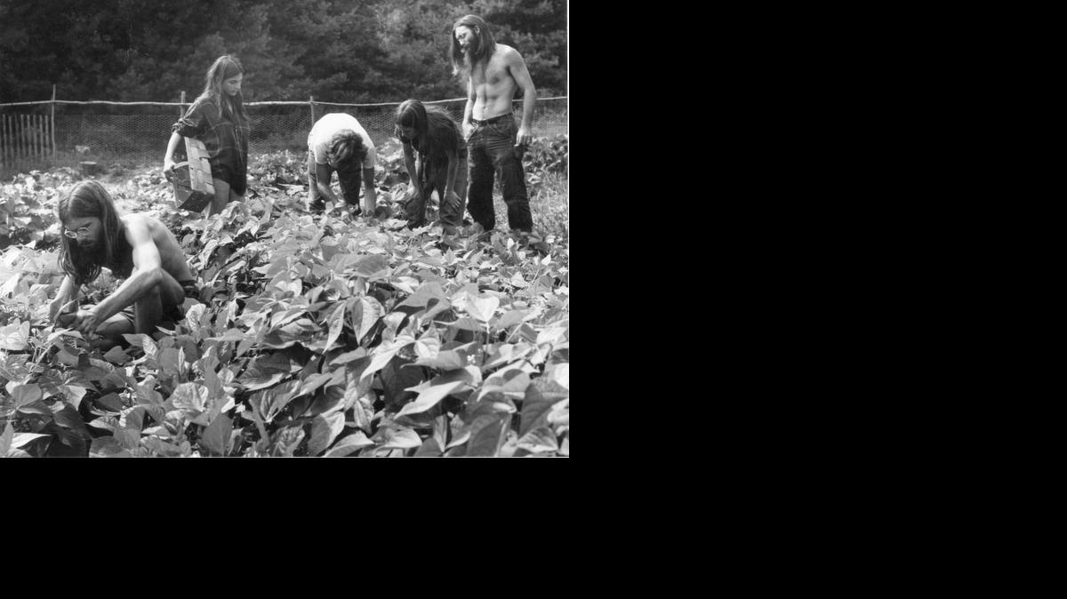 
In this circa 1970s photo provided by the Vermont Historical Society, young people work in a garden at the Pikes Falls community in Jamaica, Vt. 
