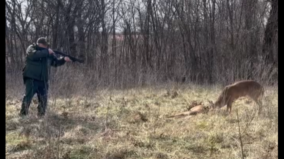 One of the deer was already dead when game wardens in Oklahoma arrived at the scene, officials said.
