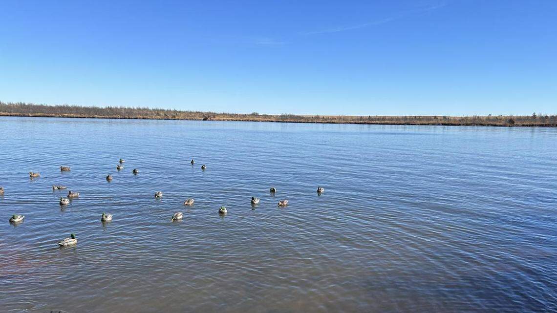 A 24-year-old graduate student at Oklahoma State University drowned while retrieving a duck, officials say.