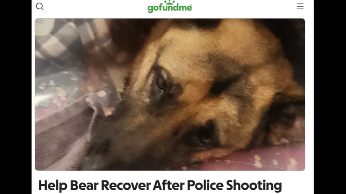 An Ohio family lost one dog and another dog was injured when a fake shooting call was made to police.