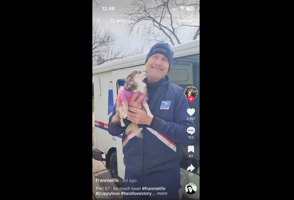 Frannie the dog greets postal worker Dan Larsen every day. Their friendship has become a TikTok sensation.