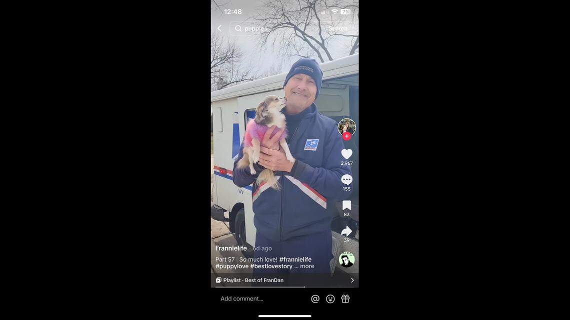 Frannie the dog greets postal worker Dan Larsen every day. Their friendship has become a TikTok sensation.