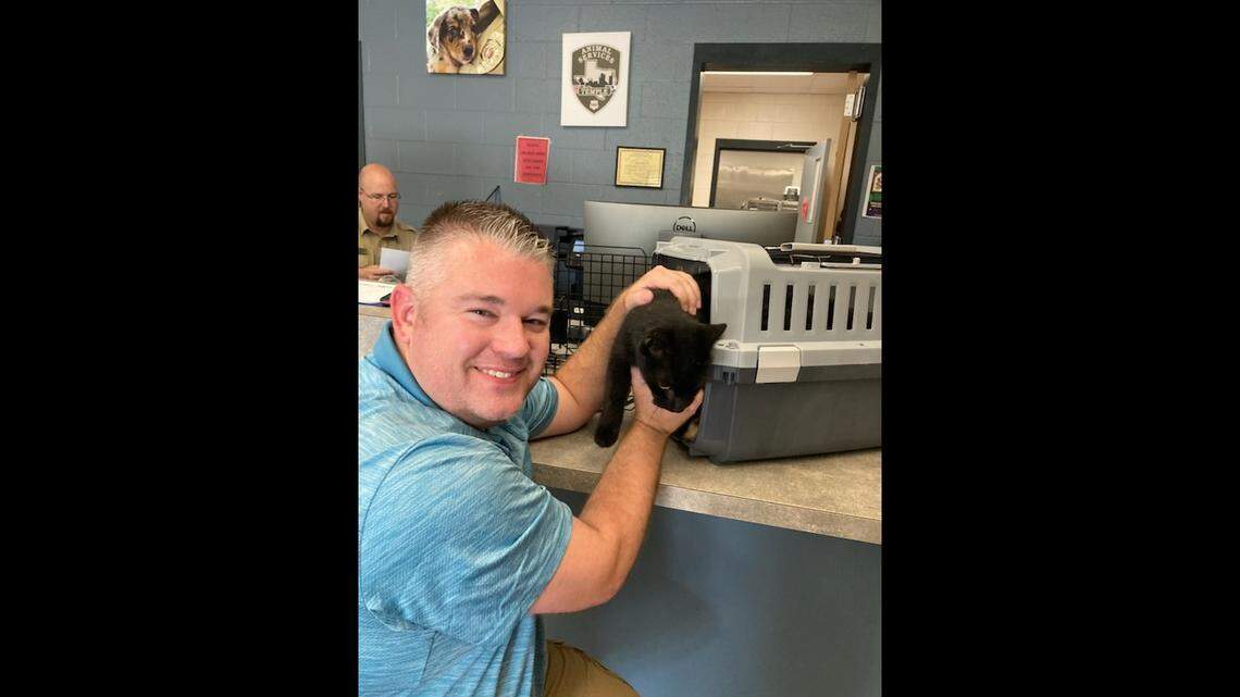Ace the cat is reunited with owner Shawn Bowden in Texas after being lost for 7 years.