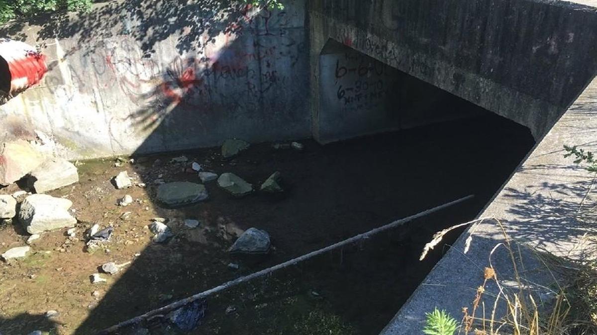 Authorities say they've discovered what they believe is a methamphetamine lab under the parking lot of a suburban Buffalo Wal-Mart store.
