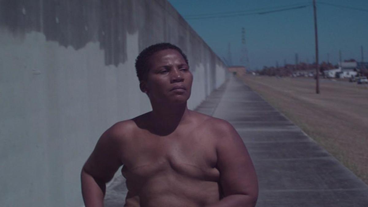 Paulette Leaphart is walking topless from Mississippi to Washington, D.C., to call attention to cancer issues.