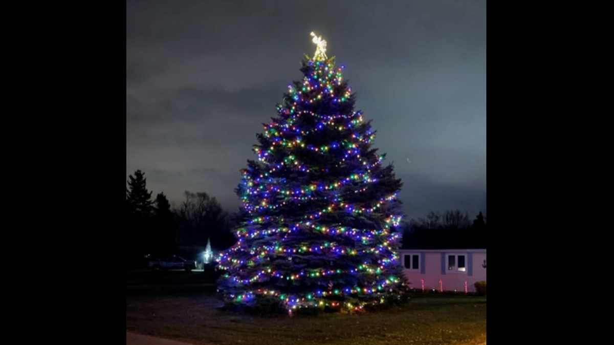 A 40-foot tall tree that sat in an 88-year-old man’s yard for decades was decorated with help from his Ohio community.