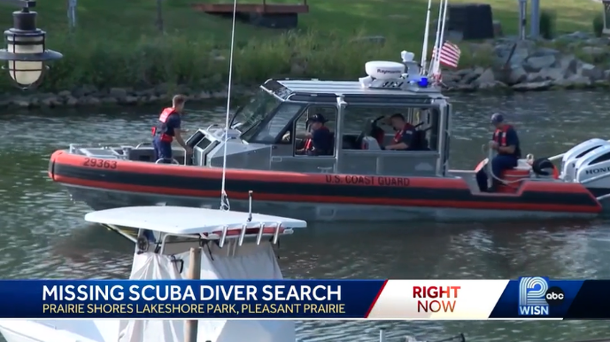 A search is on for a scuba diver who went missing in Lake Michigan, authorities say.