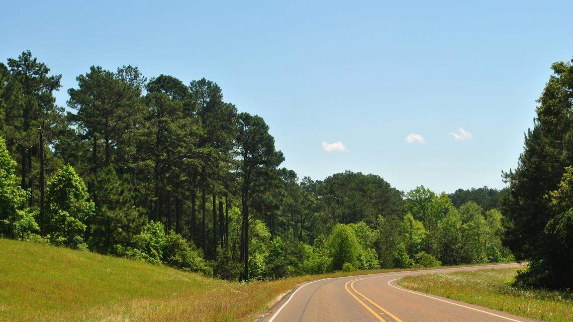 Authorities said the driver believed the animal was a deer, according to media reports.