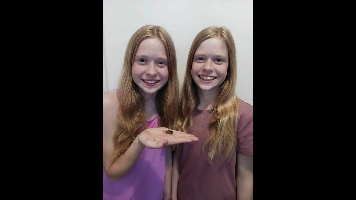 Caroline and Addison found the cicada after the family had initially released it.