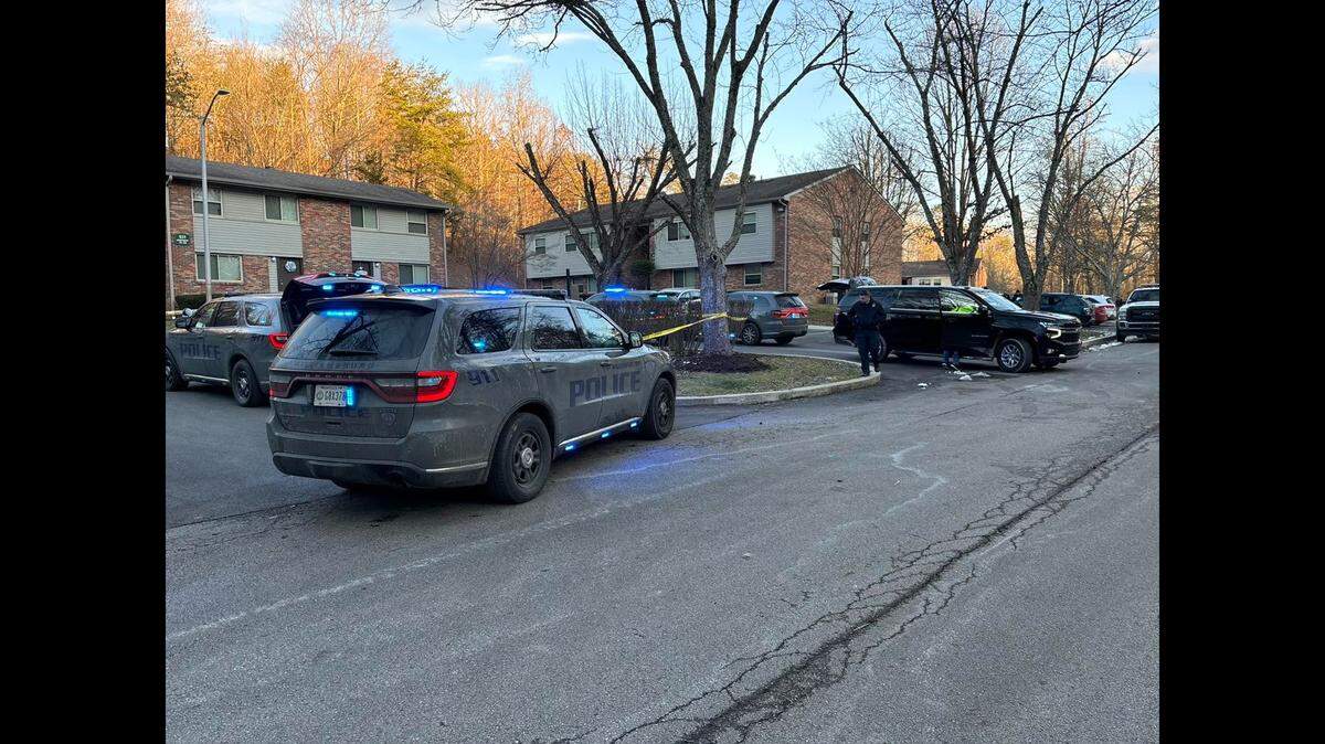 A fight between dogs in an apartment parking lot led to a fatal struggle between two men, Kentucky police said.