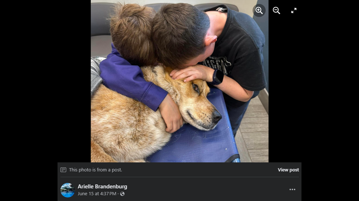 The dog was out of sight for 15 minutes before returning with gunshot wounds, Carver County Sheriff Jason Kamerud said.