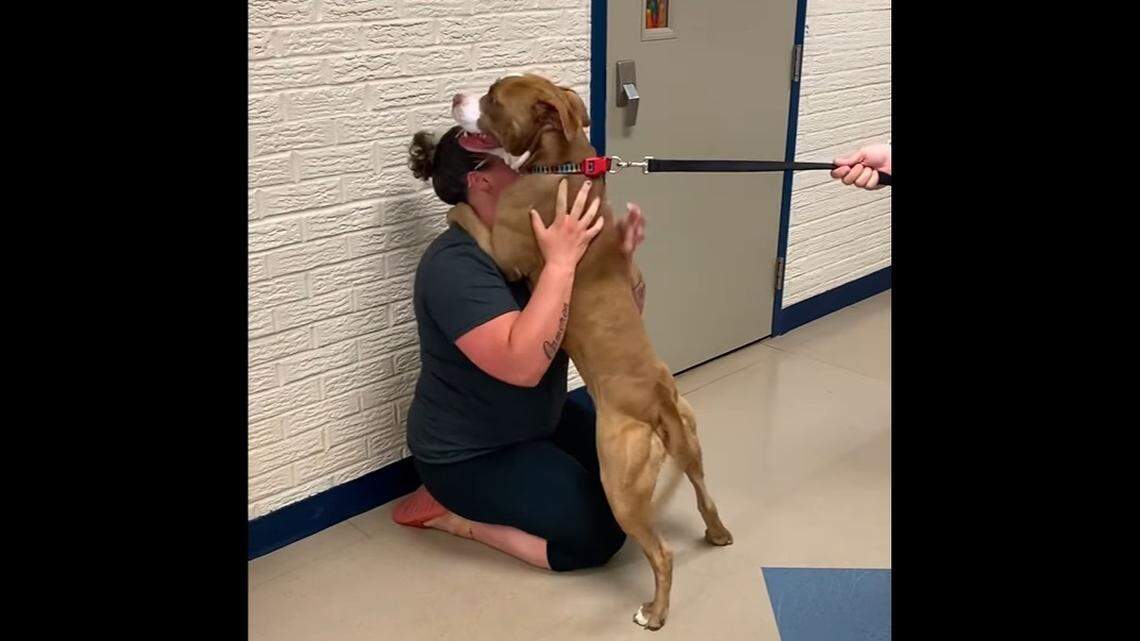 Loki had a very tearful reunion with his original owner.