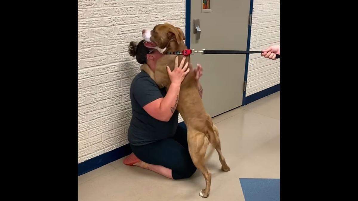 Loki had a very tearful reunion with his original owner.