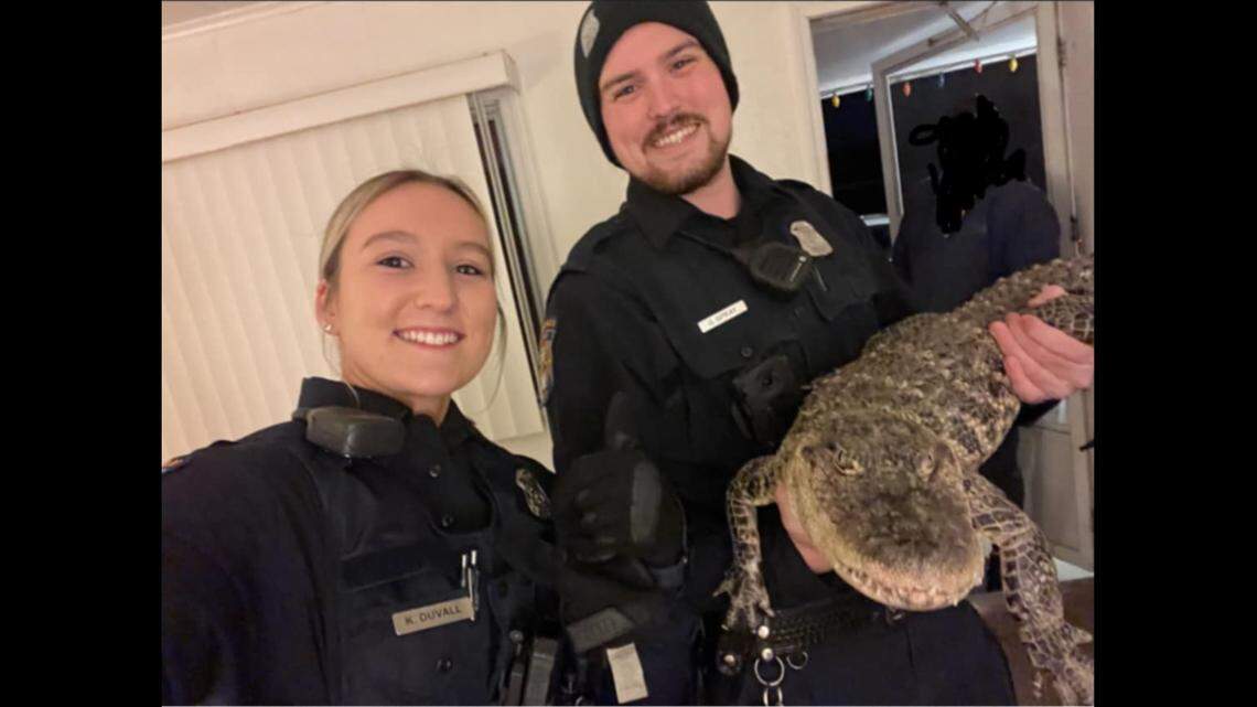 Officers in Michigan rescued a missing alligator, officials say.