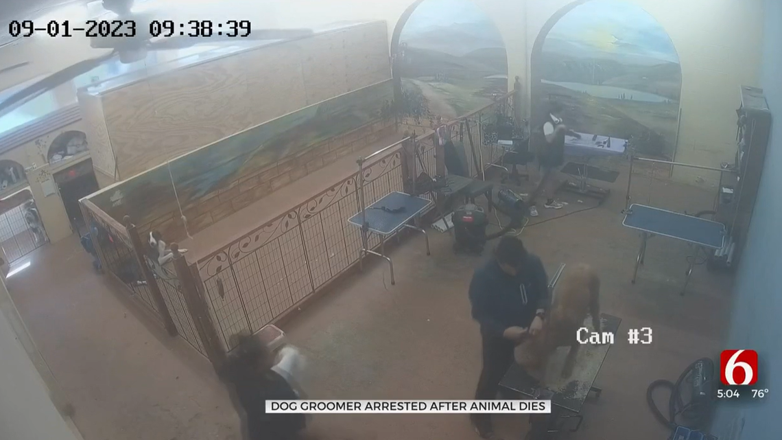 A dog groomer in Tulsa, Oklahoma, is accused of killing a pet goldendoodle, police say.