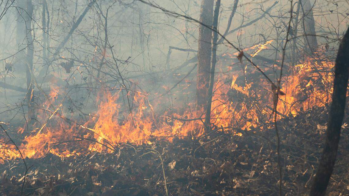 File photo of a wildland fire in Wayne National Forest.