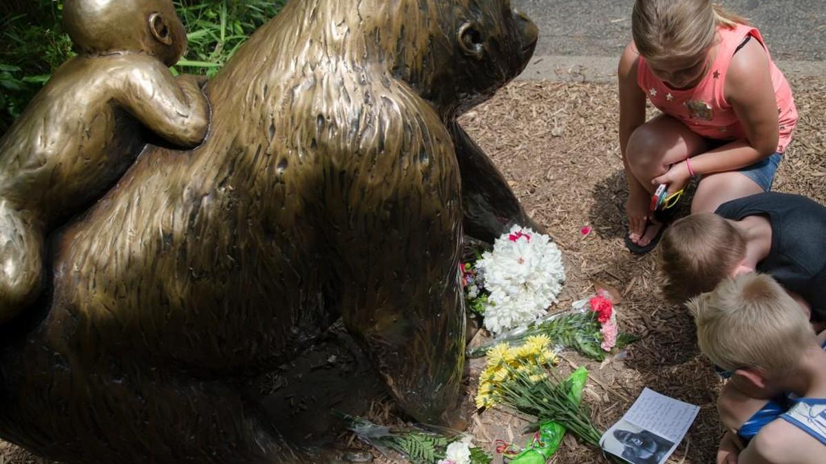 Children pause at the feet of a gorilla statue where flowers and a sympathy card have been placed, outside the Gorilla World exhibit at the Cincinnati Zoo & Botanical Garden in Cincinnati. On Saturday, a special zoo response team shot and killed Harambe, a 17-year-old gorilla, that grabbed and dragged a 4-year-old boy who fell into the gorilla exhibit moat.