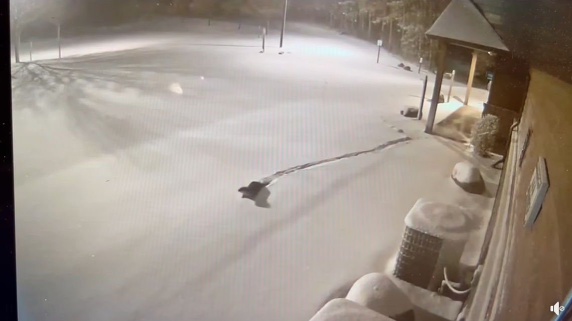 One of the otters can be seen running and then sliding across the snow after escaping from an enclosure, zoo officials say in Wisconsin.