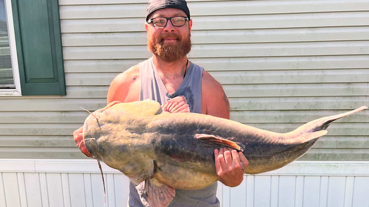 Codie Carlson was bowfishing and caught a 64-pound flathead catfish, setting a Michigan state record.