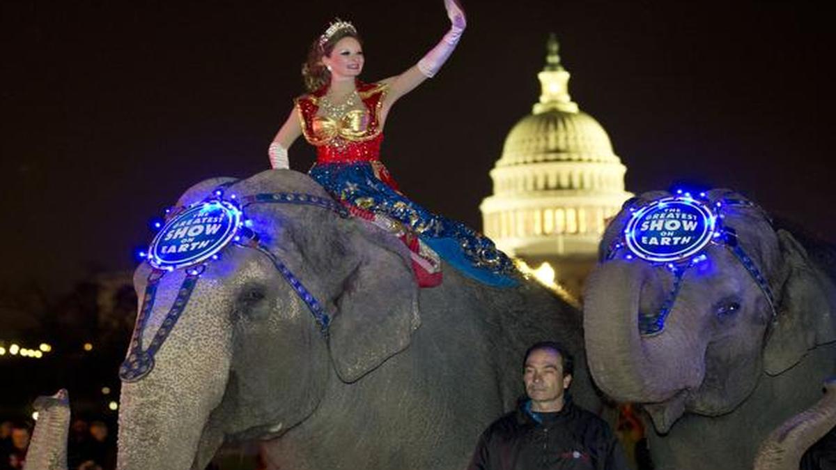 
A performer waves as elephants with the Ringling Bros. and Barnum & Bailey pause for a photo in front of the Capitol in Washington
