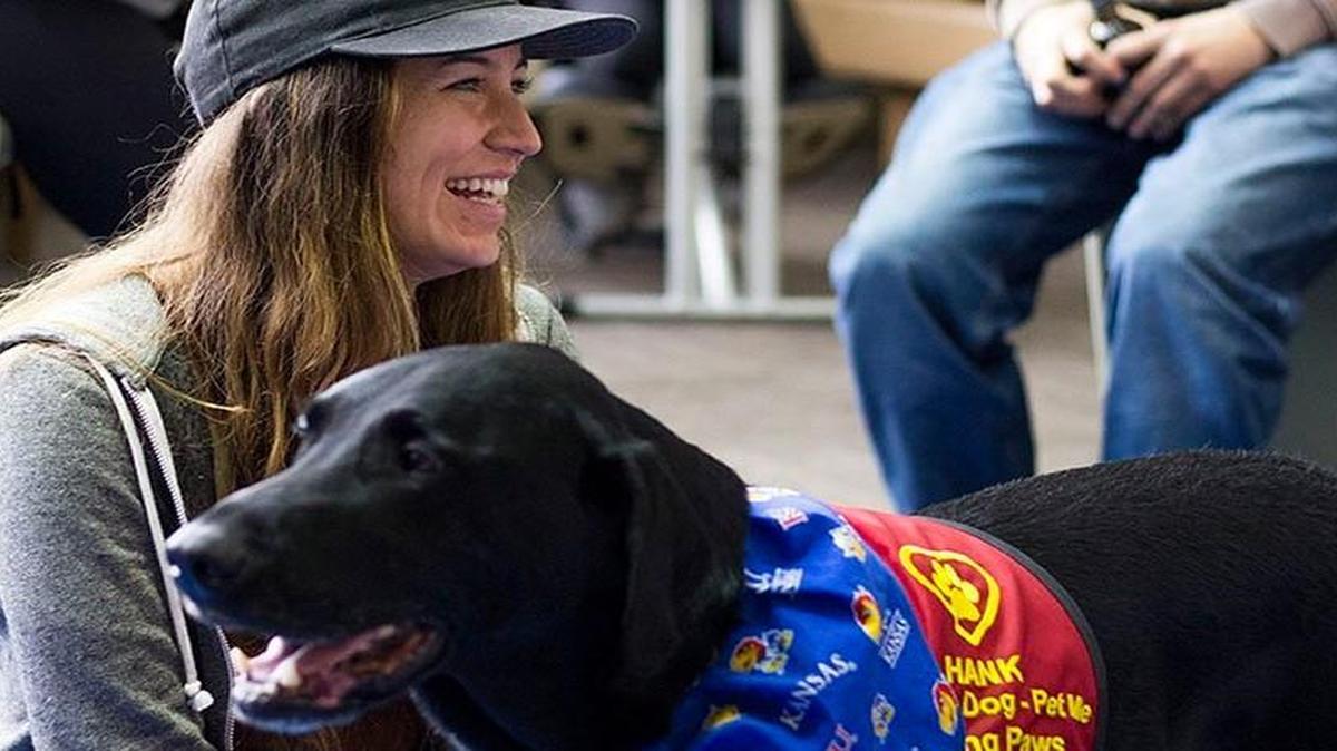 Therapy dogs like this one visit University of Kansas students at residence halls and libraries to help them deal with stress and anxiety. Dogs visited students studying for finals Sunday night at Anschutz Library.
