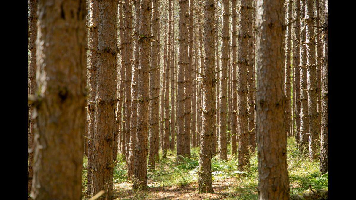 The couple was making the “adult” content in a wooded area on private property, Pennsylvania police say.