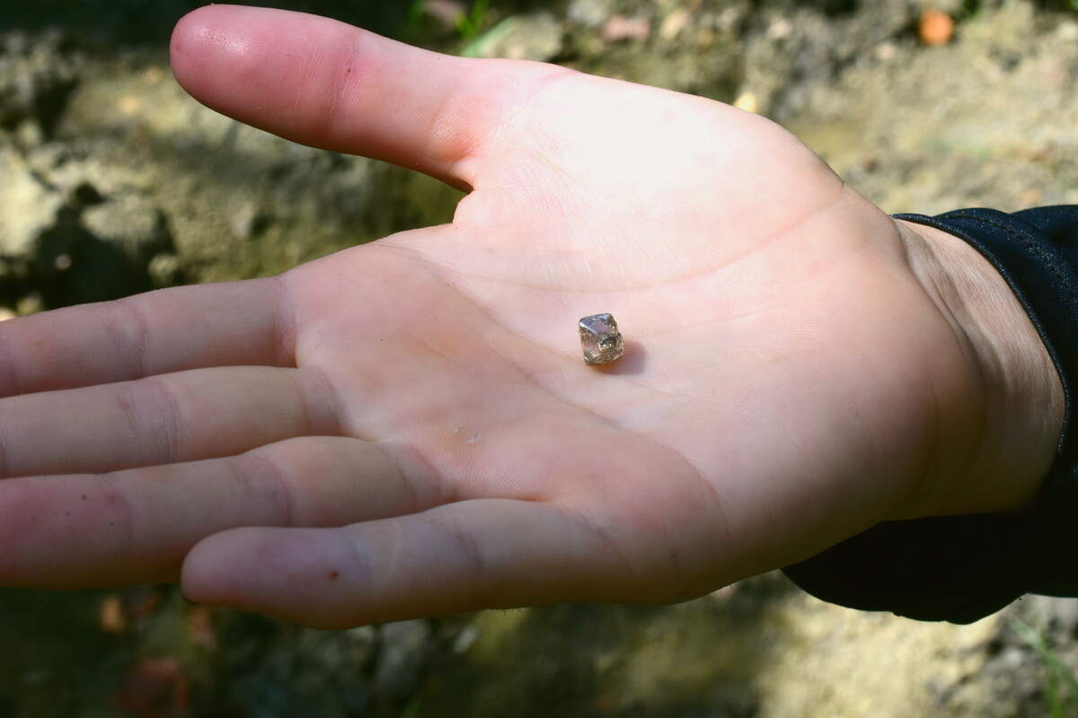 The diamond is about the size of a human canine tooth, officials said.