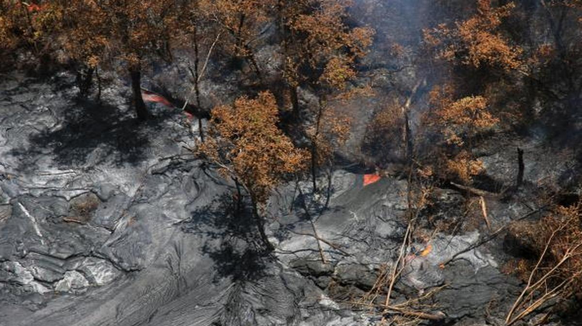 
Lava streams from the June 27 lava flow from the Kilauea volcano in Pahoa, Hawaii. 
